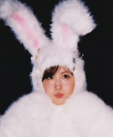 Momo Twice Bunny GIF