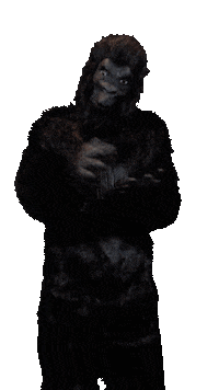 Frank Sticker by Online Monkeys