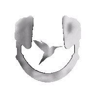 Humming Bird Island Sticker by Nova Sound