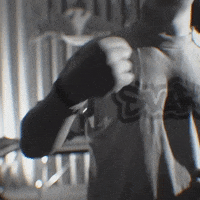 sindikatas sindikatas svaras GIF