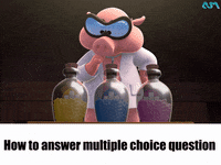 cat exam GIF by Aum