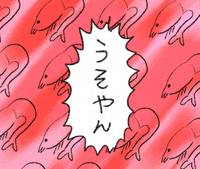susizuman shock shrimp ショック エビ GIF