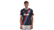 2 Bundesliga Yes Sticker by Holstein Kiel