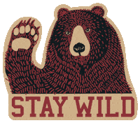 Bear Explore Sticker by Cascada.cc