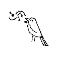 Bird Wildlife Sticker by InSynch