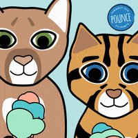 sunwestfcu credit union sunwest icu day international credit union day GIF