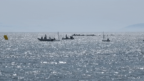 RRR44 giphyupload summer greece athens GIF