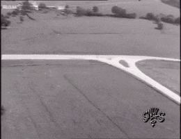Snuls serie belgique arabe les snuls GIF