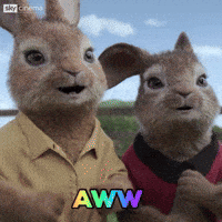 Aw-this-is-so-cute GIFs - Get the best GIF on GIPHY