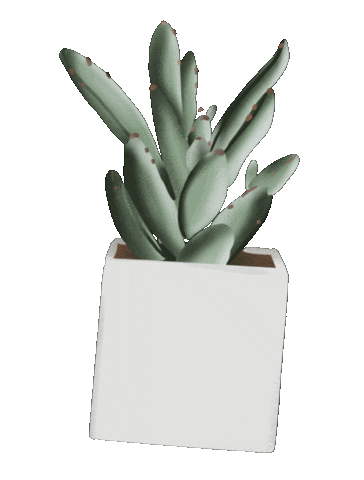 Relax Plant Sticker