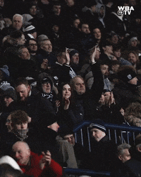 West Brom Football GIF by West Bromwich Albion