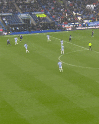 West Brom Football GIF by West Bromwich Albion