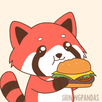 Red Panda Eating GIF