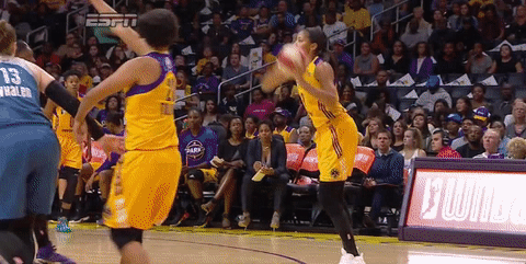 game 4 basketball GIF by WNBA