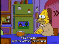 Season 4 Episode 21 GIF by The Simpsons