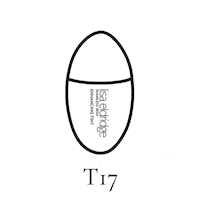 Beauty Face Sticker by Lisa Eldridge