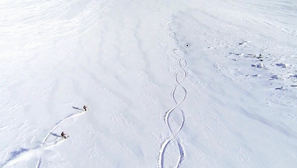 snow winter GIF by Tirol
