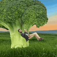 Vegan Tree GIF by Welcome! At America’s Diner we pronounce it GIF.