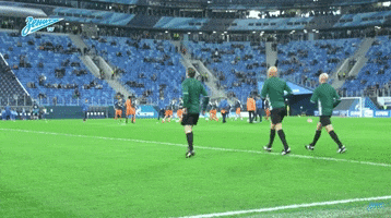 st petersburg referee GIF by Zenit Football Club