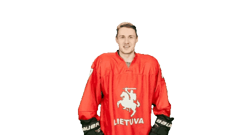 Hockey Sticker by ledoritulys.lt