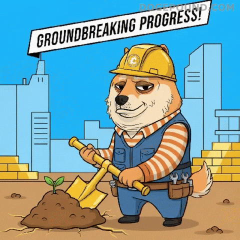 Shiba Inu Success GIF by Doge Pound