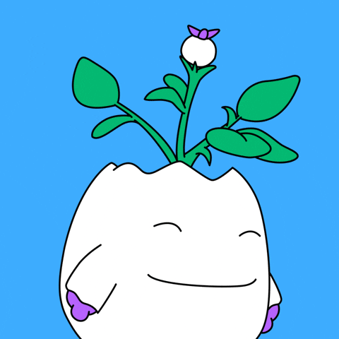 Well Done Win GIF by Magic Eden