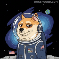 Winning To The Moon GIF by Doge Pound