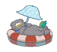 Cat Summer Sticker