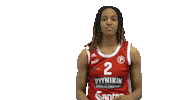 Basketball Hoops Sticker by Basket_fi