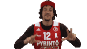 Basketball Hoops Sticker by Basket_fi