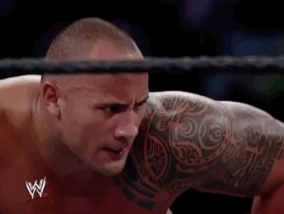 The Rock Sport GIF by WWE