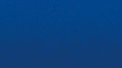 Bourg En Bresse Win GIF by Football Bourg-en-Bresse Péronnas 01