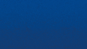 Bourg En Bresse Win GIF by Football Bourg-en-Bresse Péronnas 01