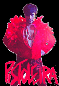 pistoleira queer paulo pistoleira bandapistoleira GIF