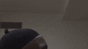 Dog Musicvideo GIF by Fat Possum Records