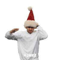 Merry Xmas Dance Sticker by SWR3
