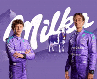 Formula 1 F1 GIF