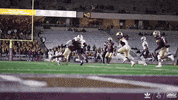 College Football Sport GIF by Texas State Football