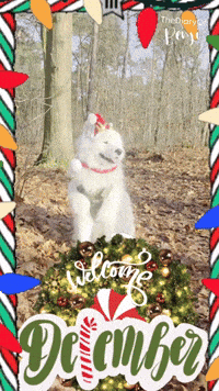 Happy Christmas GIF