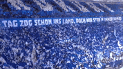 Football Soccer GIF by FC Schalke 04