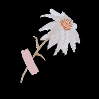 Mariuriganti art nature flower artist GIF