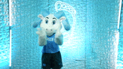 University Of North Carolina Baseball GIF by UNC Tar Heels