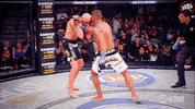 GIF by SHOWTIME Sports