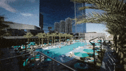 Pool Vegas GIF by Switzerfilm