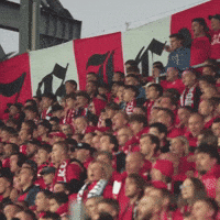 Football Soccer GIF by Widzew Łódź