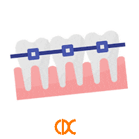 Charlestown-Dental-Centre smile smiling teeth dentist Sticker