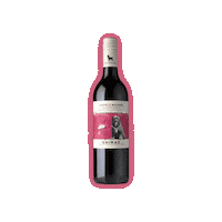 Red Wine Shiraz Sticker by Leaps & Bounds Wine
