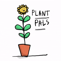 Flower Plant GIF by darrenjturner