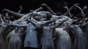enballet  GIF