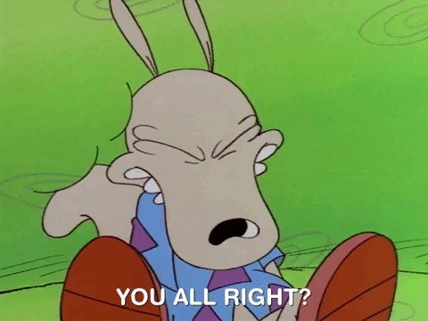 rockos modern life nicksplat GIF